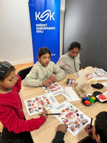 497ede5a-783a-429a-ae21-627febac6fc1